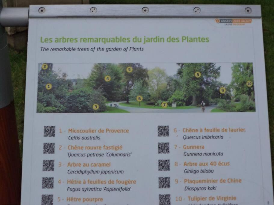アンジェLe Grey-Jardin Des Plantes-Centre Des Congresアパートメント エクステリア 写真